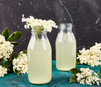 sok-z-kwiatow-czarnego-bzu---wlasciwosci-zdrowotne-i-zastosowanie