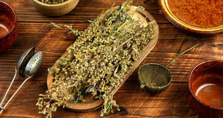 susz-konopny---dzialanie-i-mozliwe-skutki