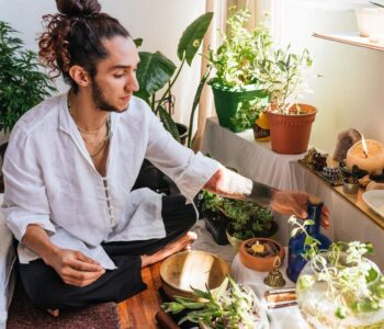 ziele-serdecznika---wlasciwosci-zastosowanie-i-przeciwwskazania